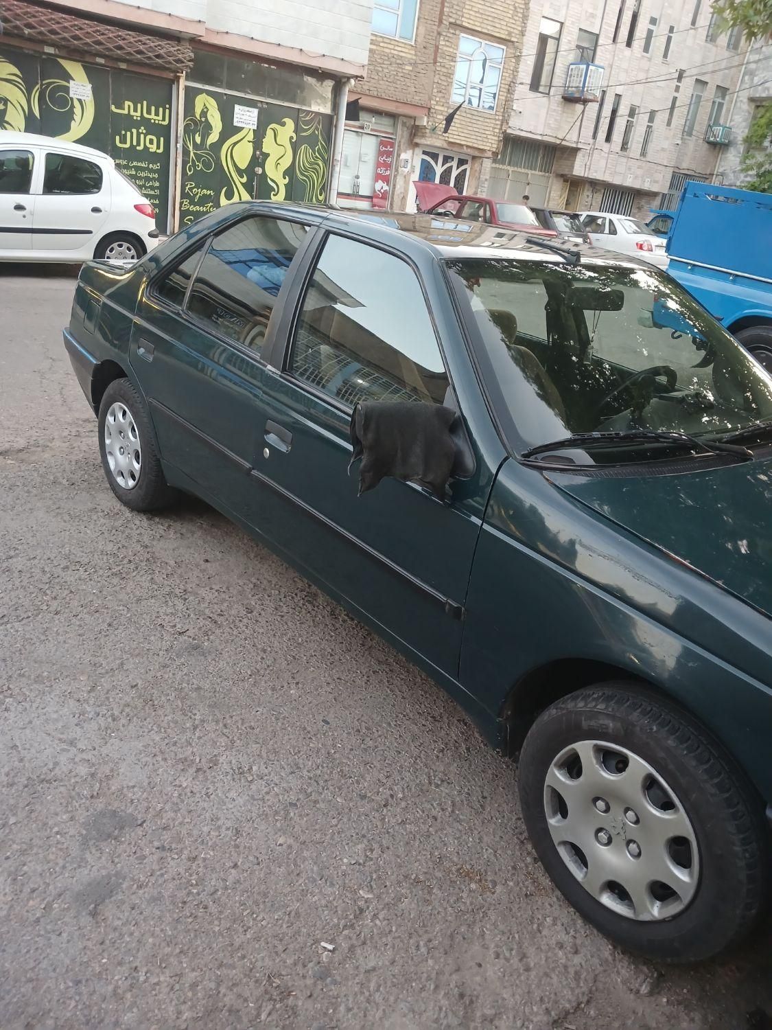 پژو آردی RDI - 1384