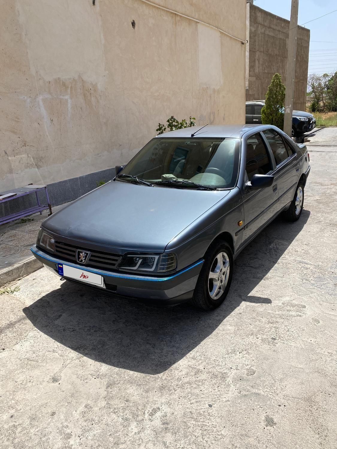پژو 405 GLX - دوگانه سوز - 1394