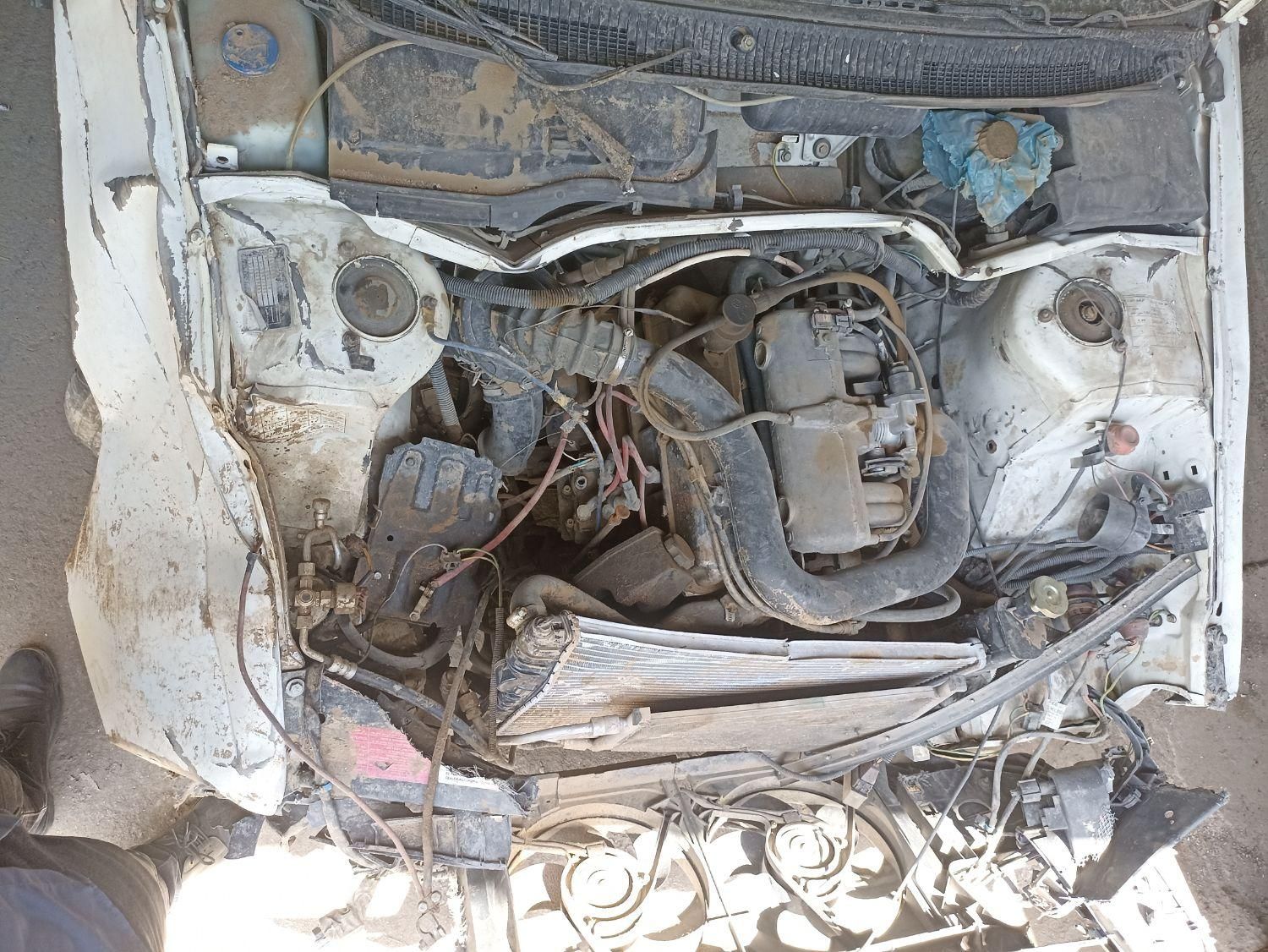 پژو آردی RDI - 1384