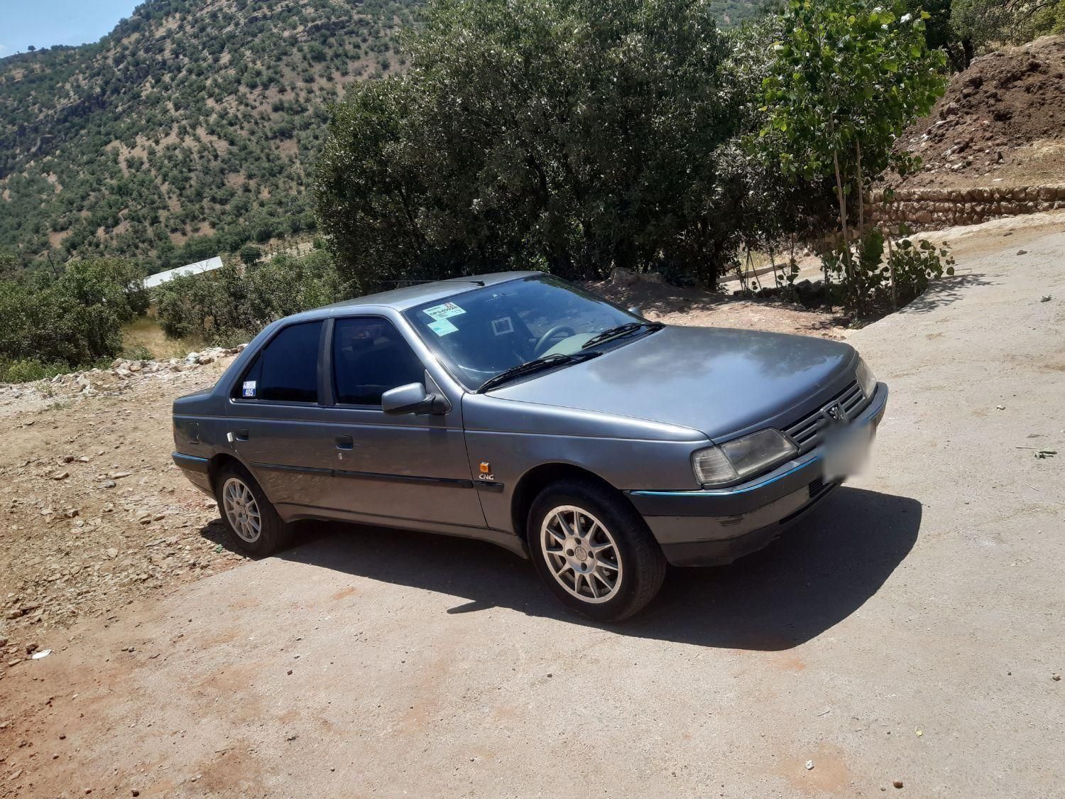 پژو 405 GLI - دوگانه سوز CNG - 1383