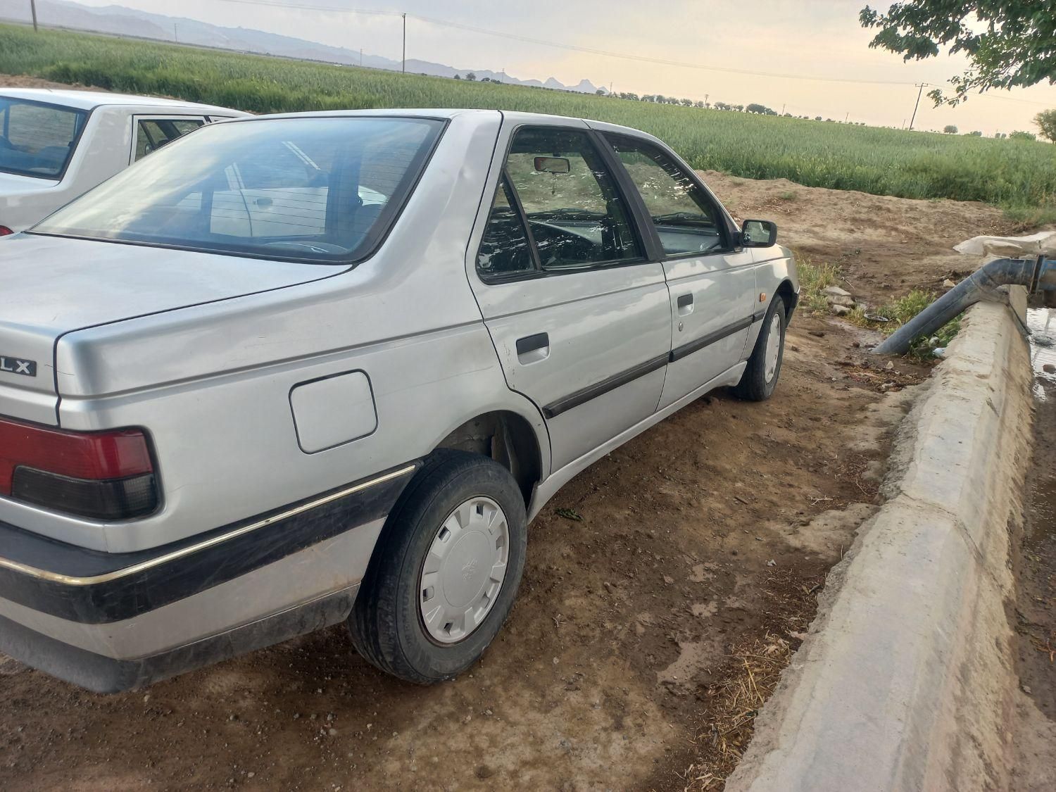 پژو 405 GLX - دوگانه سوز - 1389