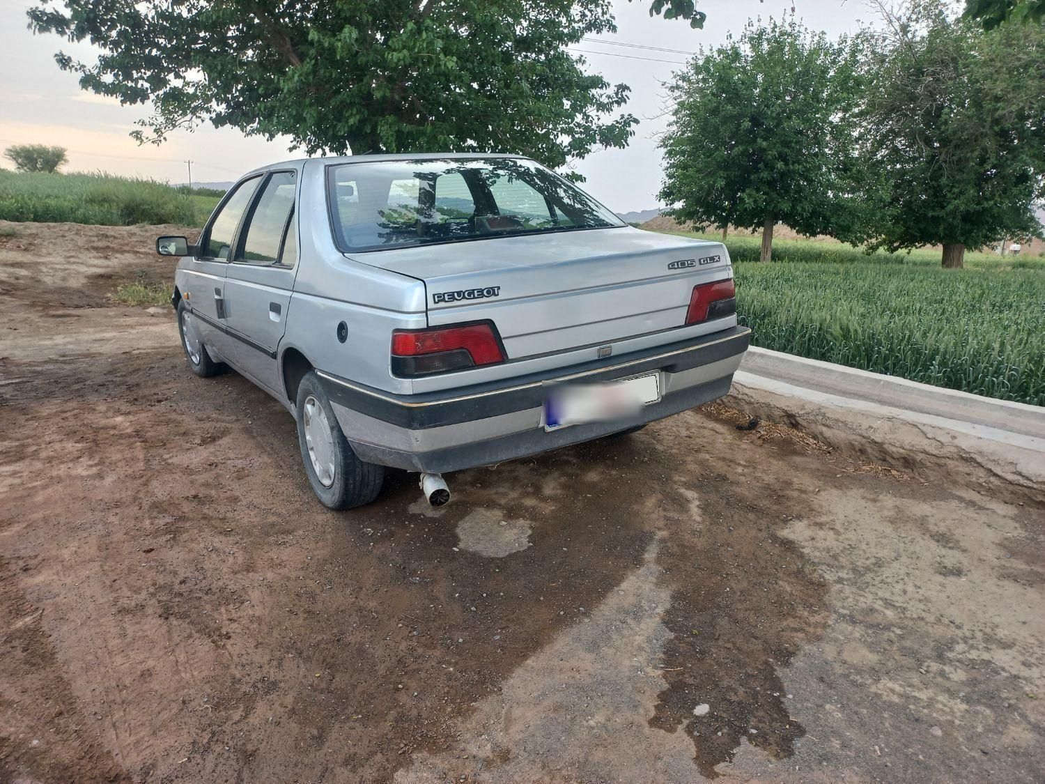 پژو 405 GLX - دوگانه سوز - 1389