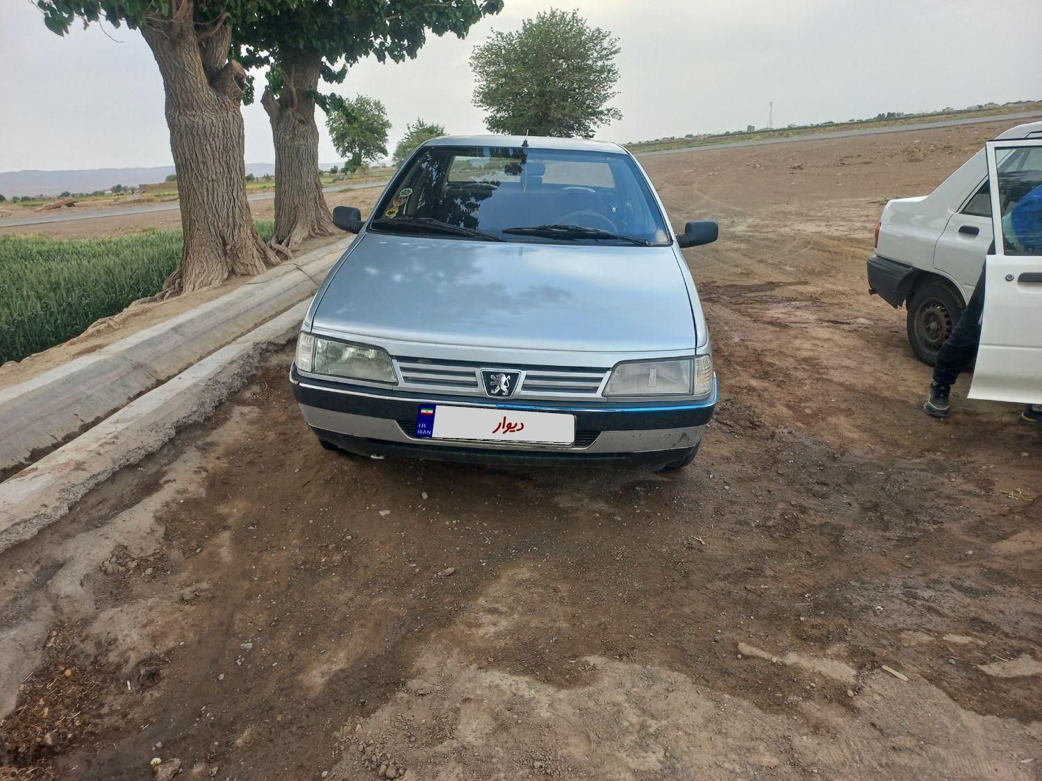 پژو 405 GLX - دوگانه سوز - 1389