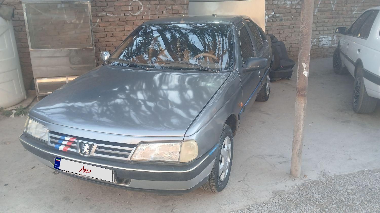 پژو 405 GLX - دوگانه سوز - 1391