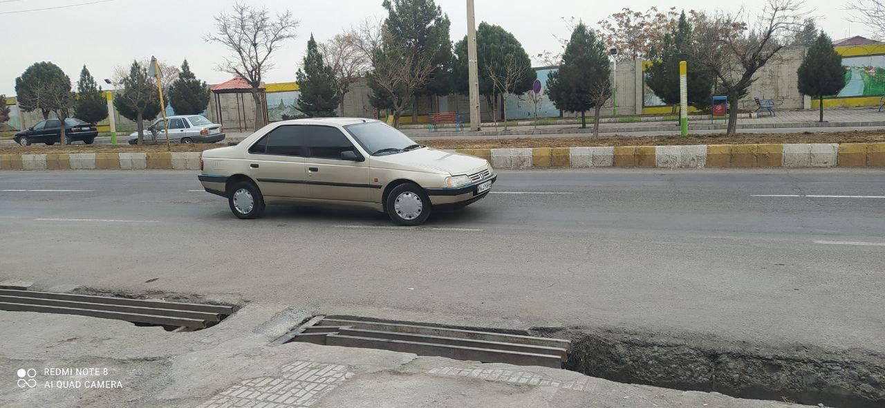 پژو 405 GL - دوگانه سوز CNG - 1369