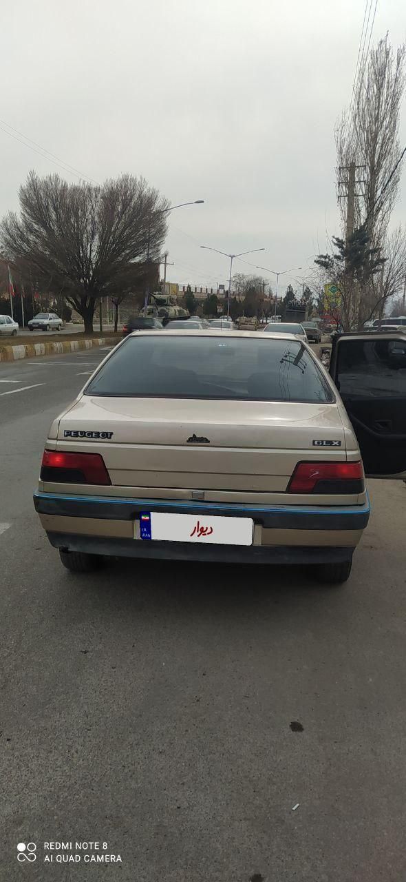پژو 405 GL - دوگانه سوز CNG - 1369