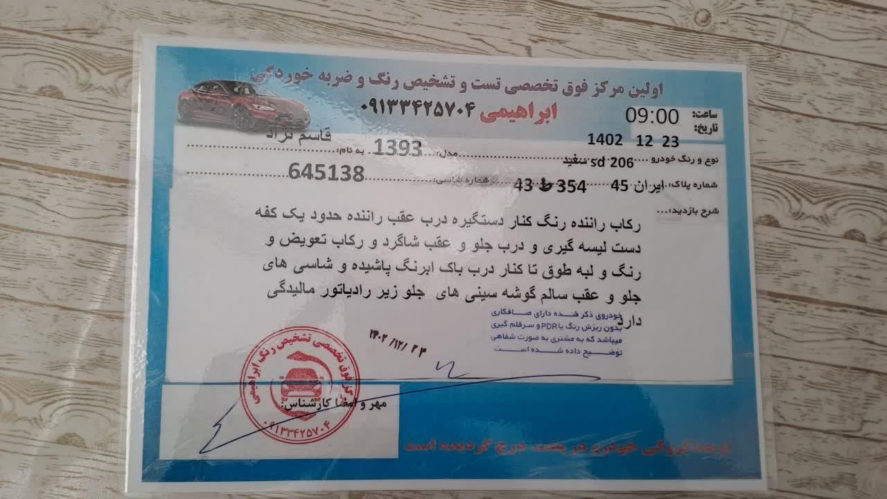 پژو 206 تیپ 5 - 1393