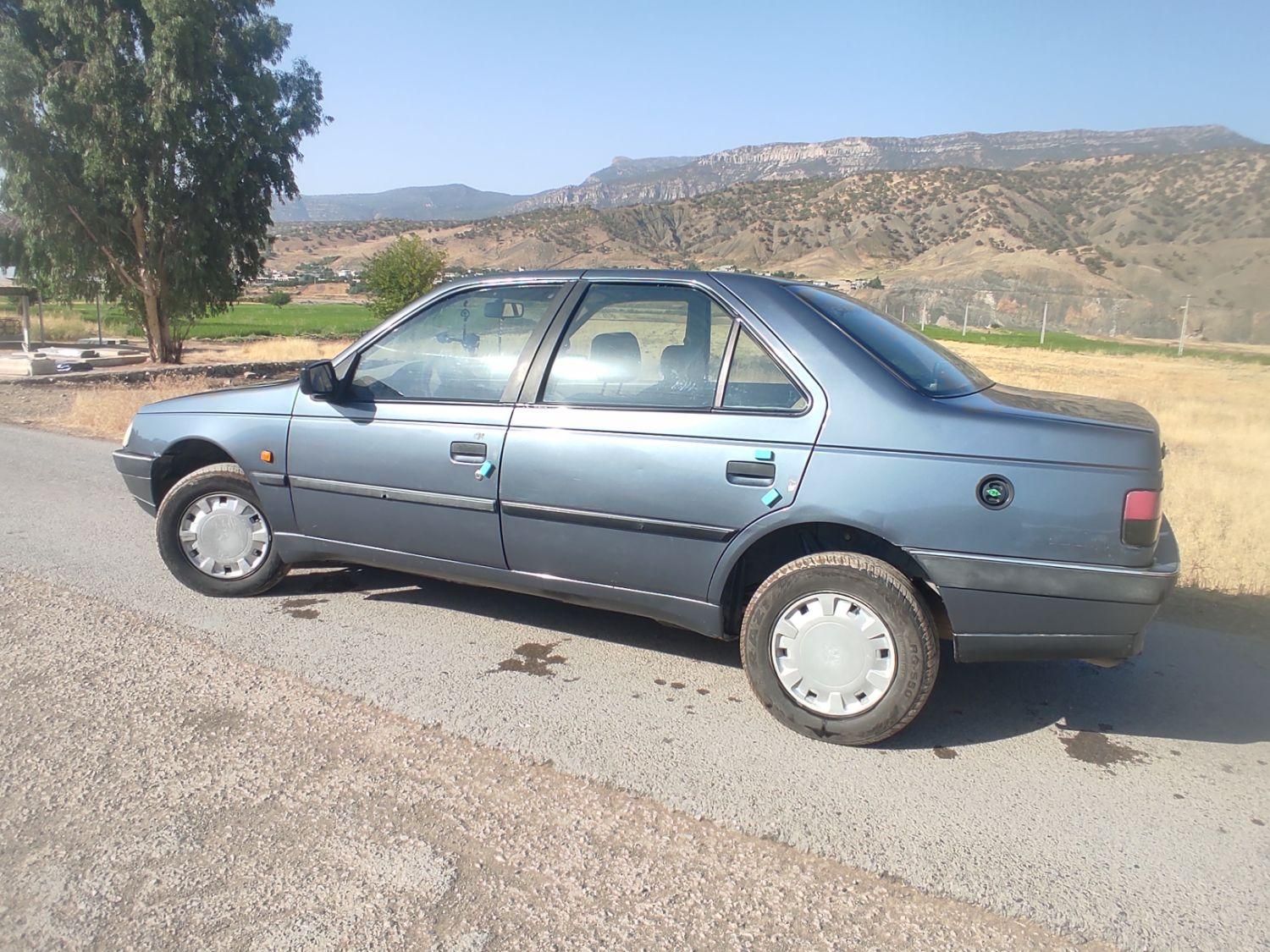 پژو 405 GLX - دوگانه سوز - 1394