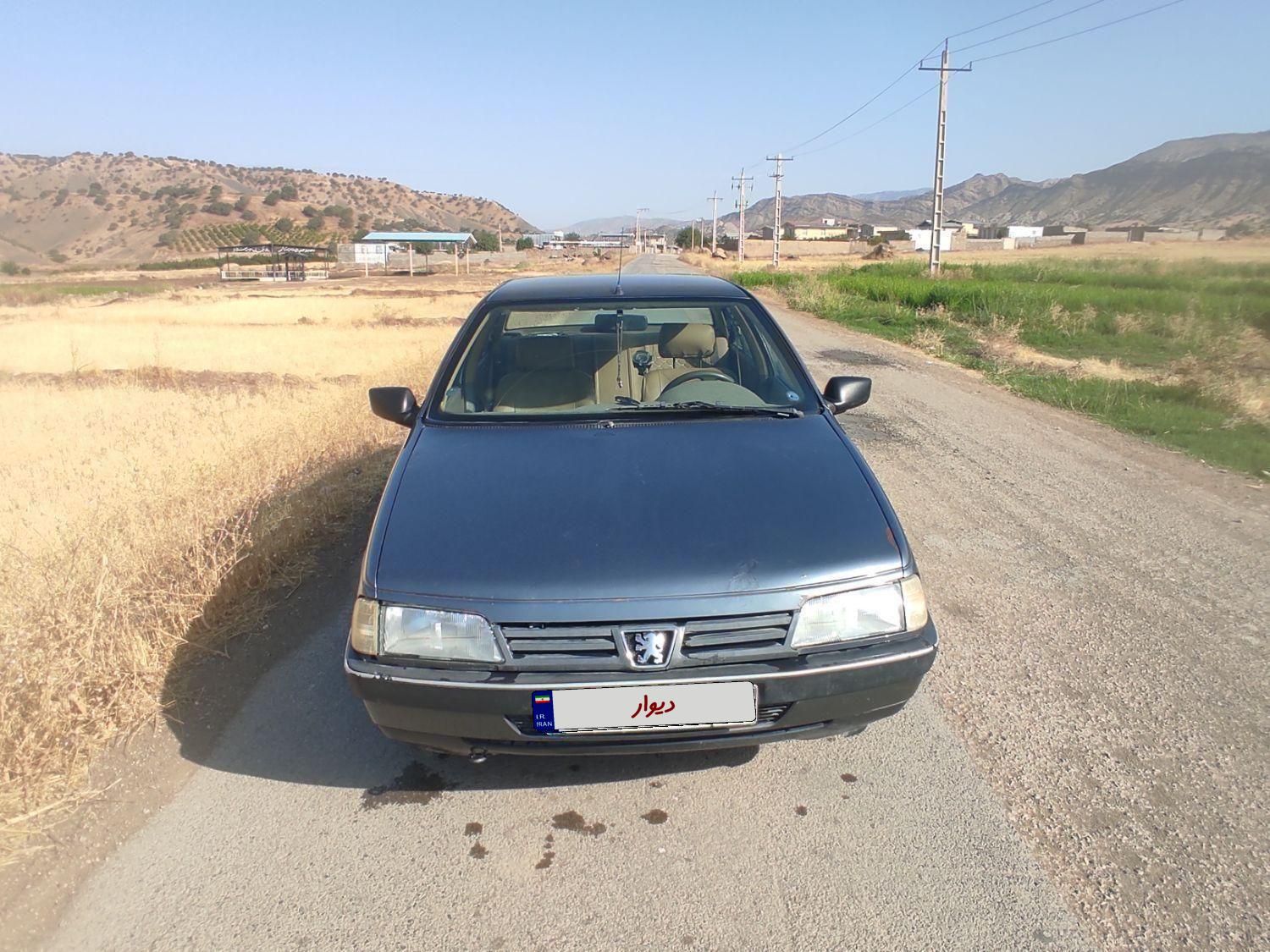 پژو 405 GLX - دوگانه سوز - 1394