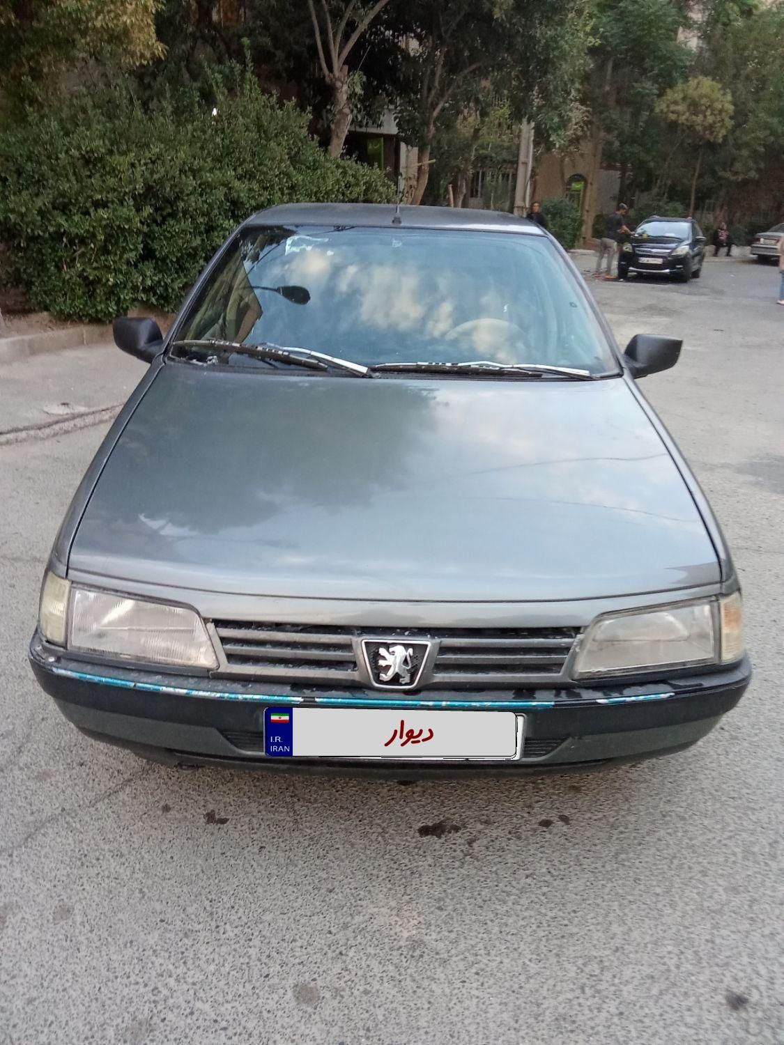 پژو 405 GLX - دوگانه سوز - 1391