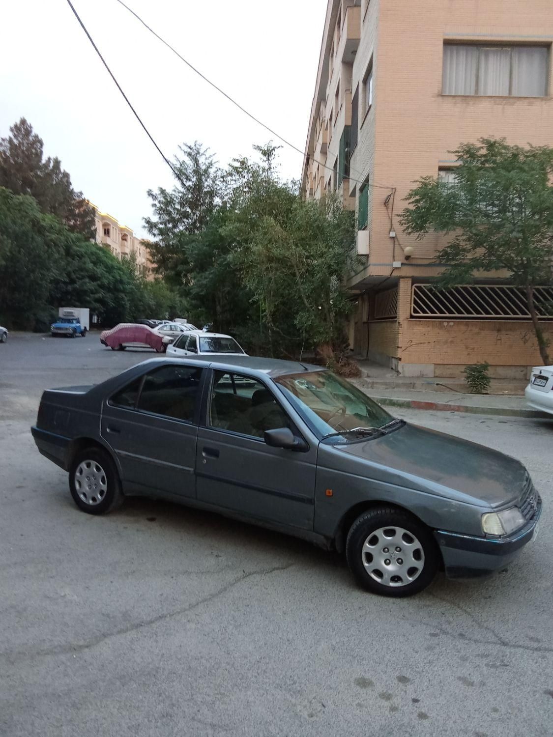 پژو 405 GLX - دوگانه سوز - 1391