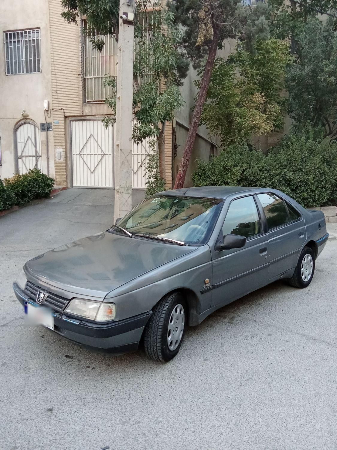 پژو 405 GLX - دوگانه سوز - 1391