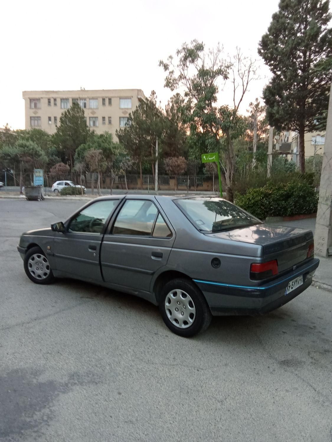 پژو 405 GLX - دوگانه سوز - 1391