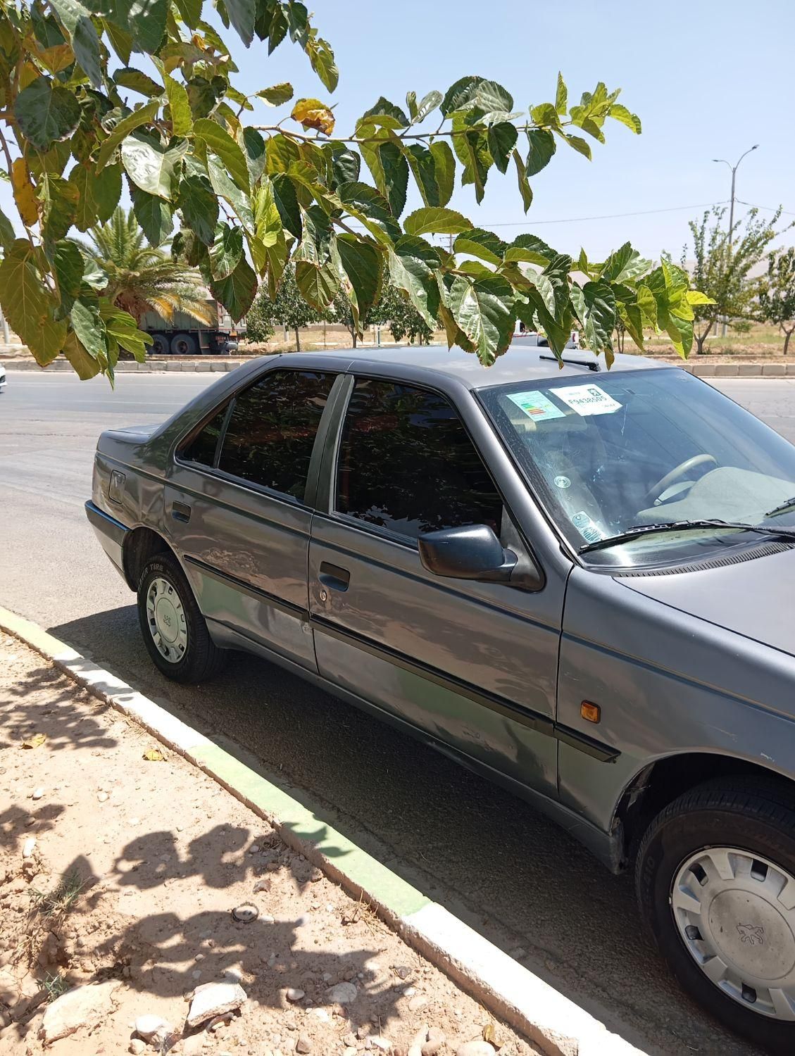 پژو 405 GLX - دوگانه سوز - 1395