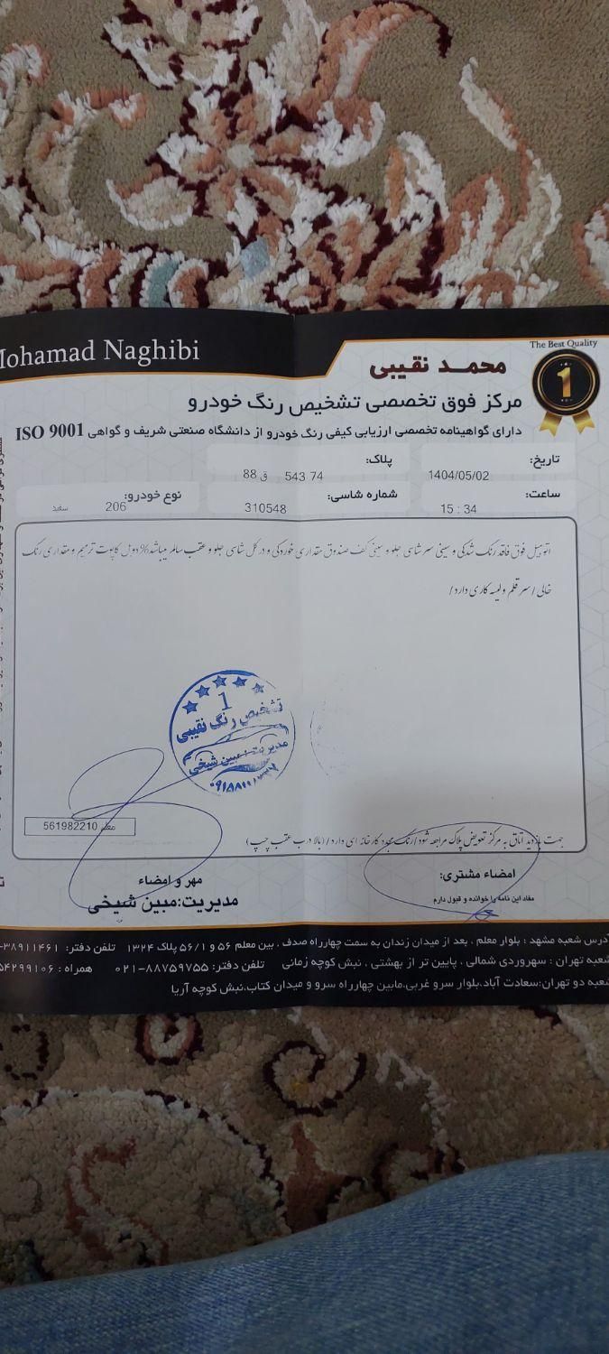 پژو 206 تیپ 2 - 1398