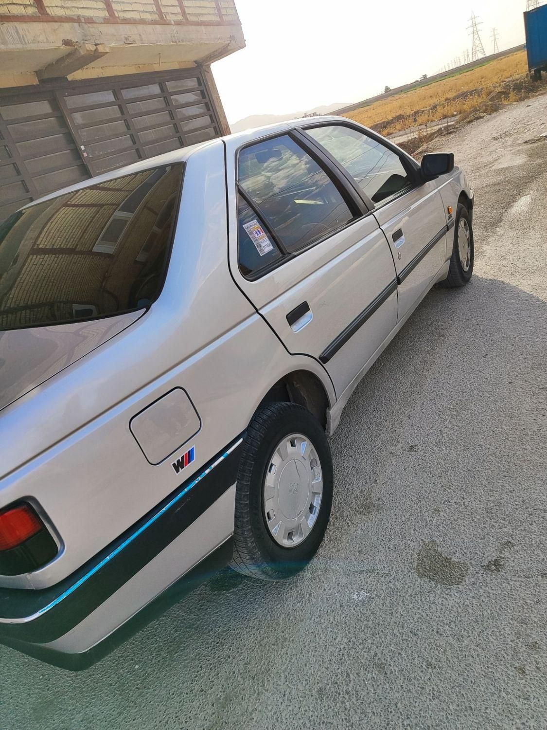 پژو 405 GLX - دوگانه سوز - 1390