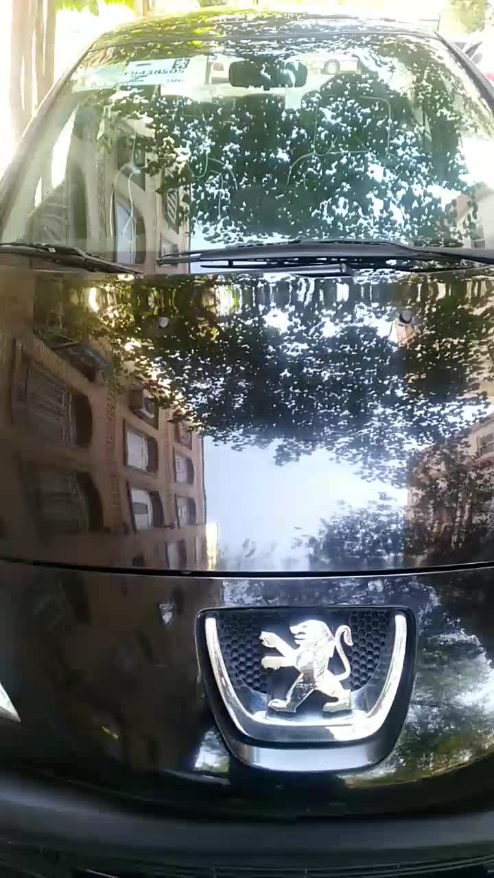 خودرو پژو، 207 آگهی ann_19554111