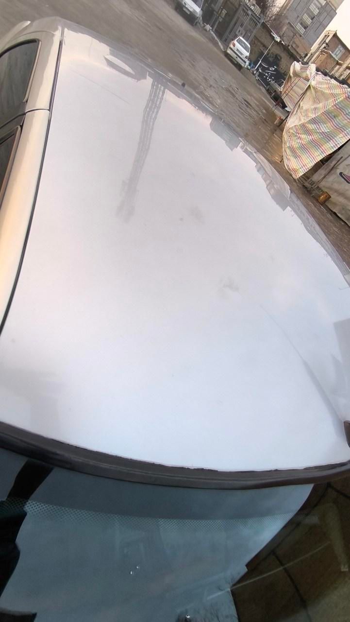 سیتروئن زانتیا X - 1385