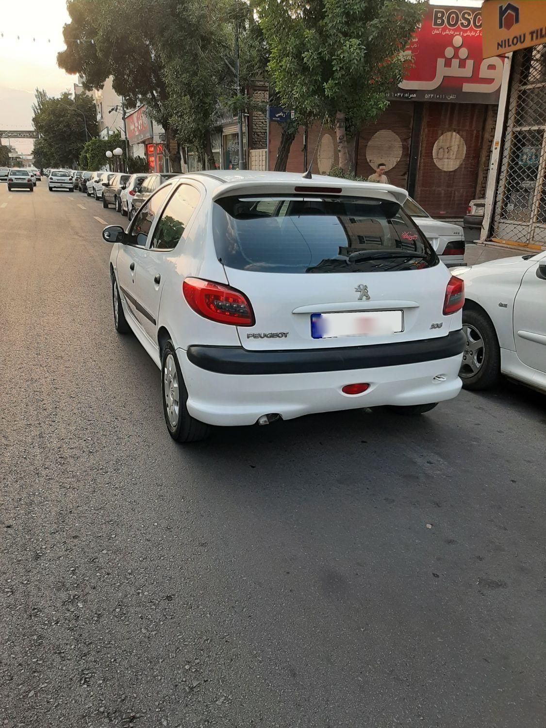 پژو 206 تیپ 2 - 1389