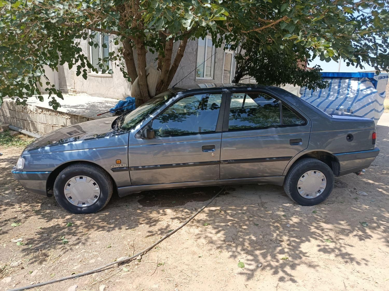 پژو 405 GLX - دوگانه سوز - 1394