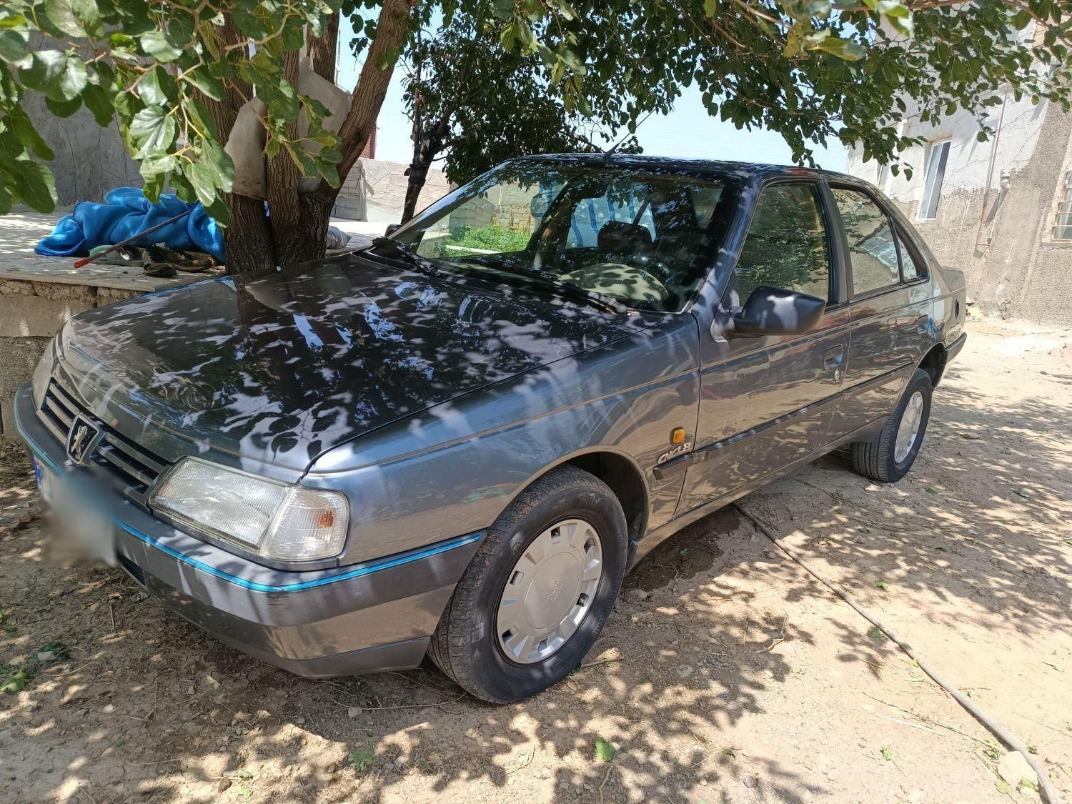 پژو 405 GLX - دوگانه سوز - 1394