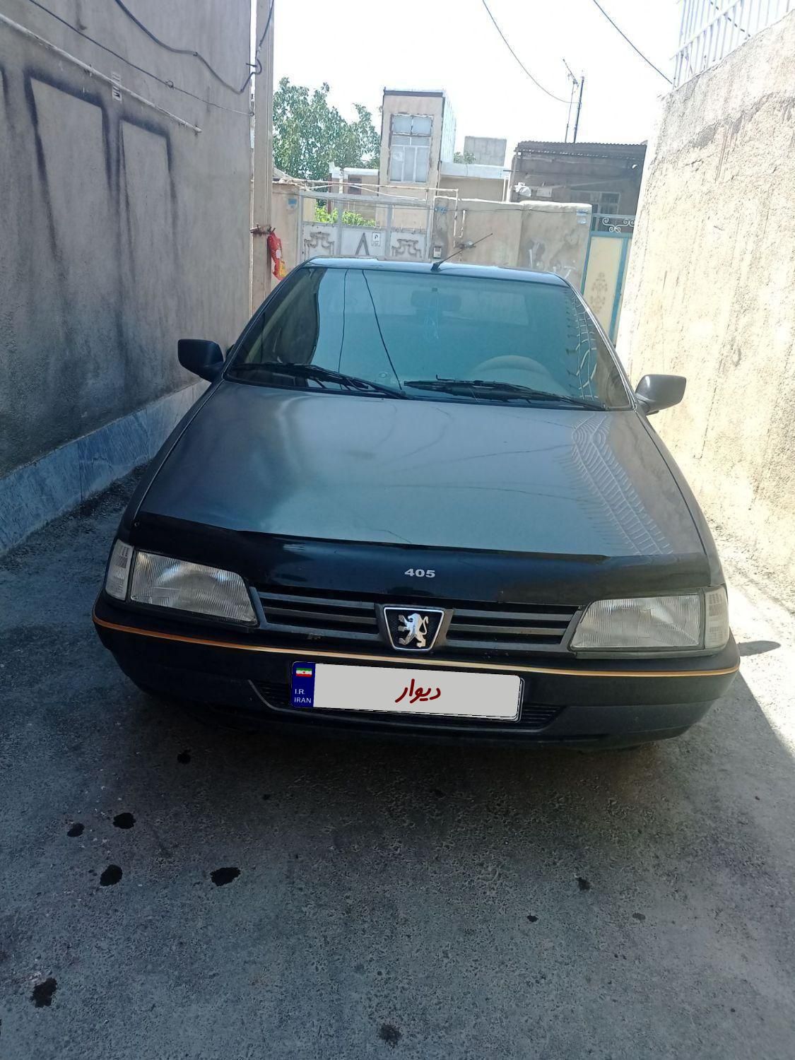 پژو 405 GLX - دوگانه سوز - 1393