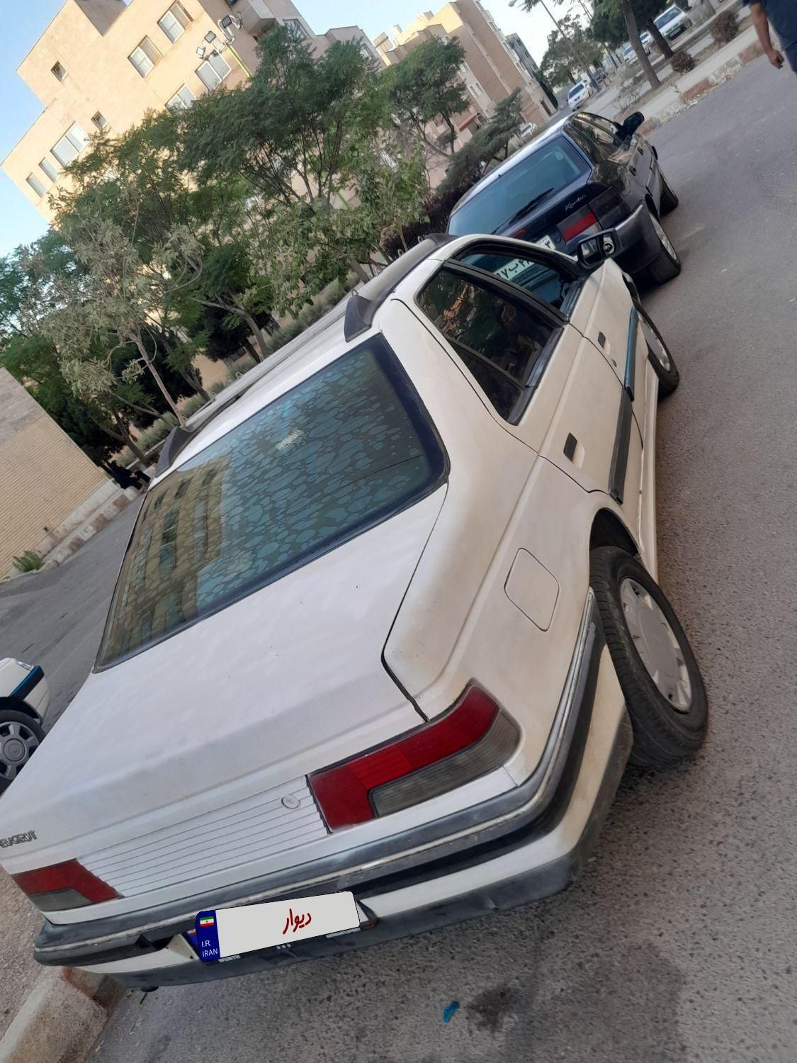 پژو آردی دوگانه سوز CNG - 1382