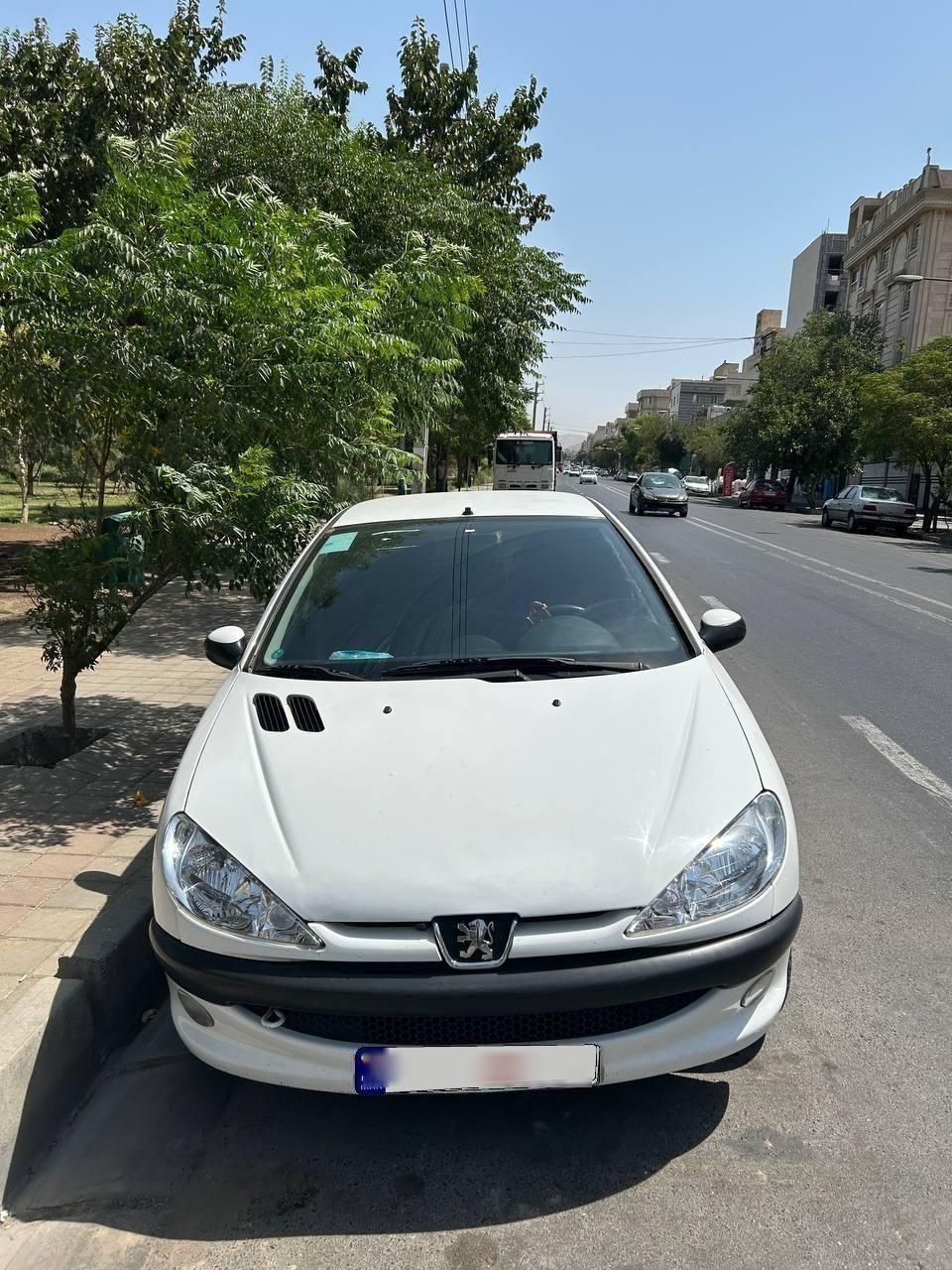 پژو 206 تیپ 5 - 1395