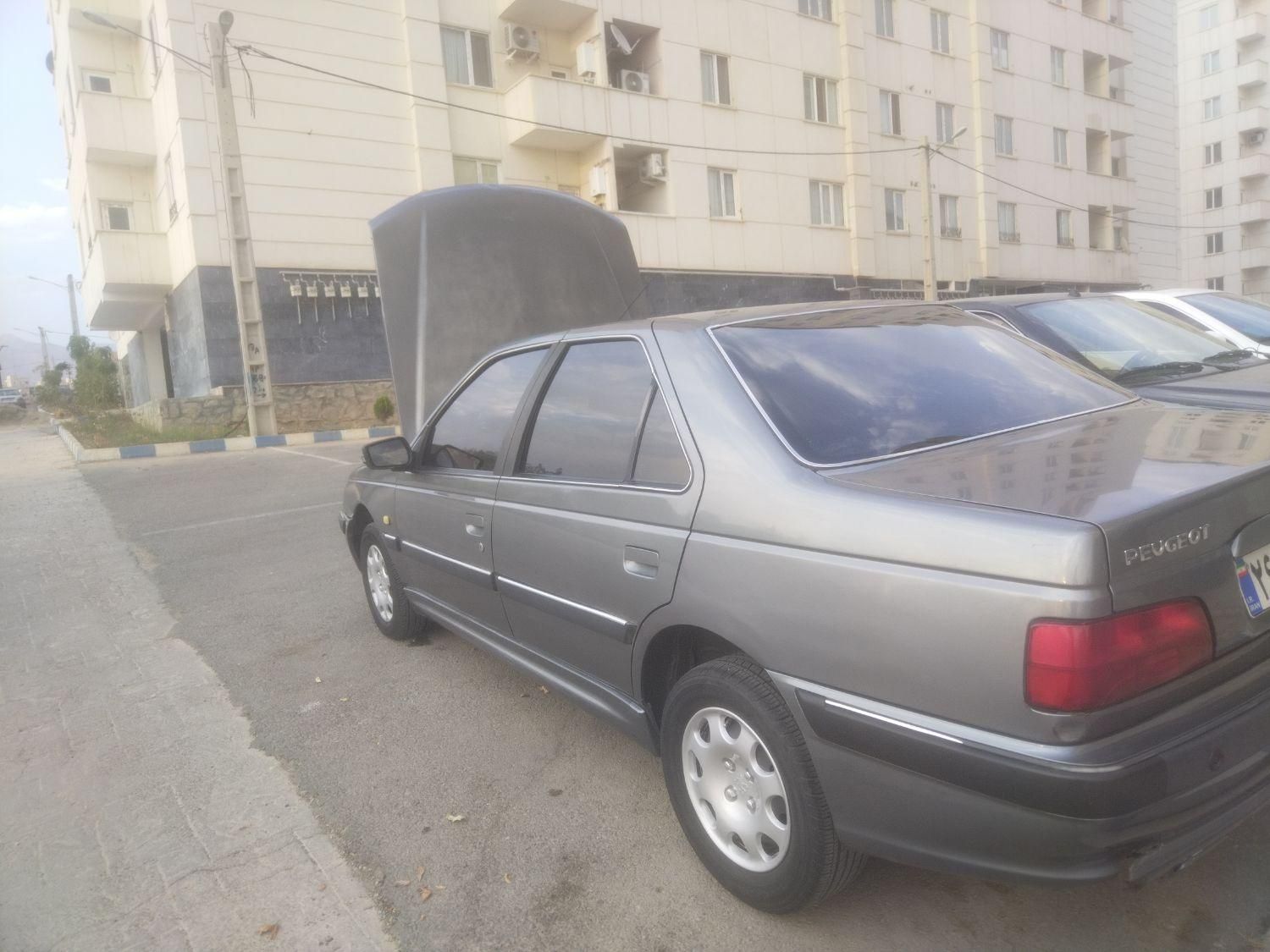 پژو پارس ELX-XU7P سفارشی - 1392