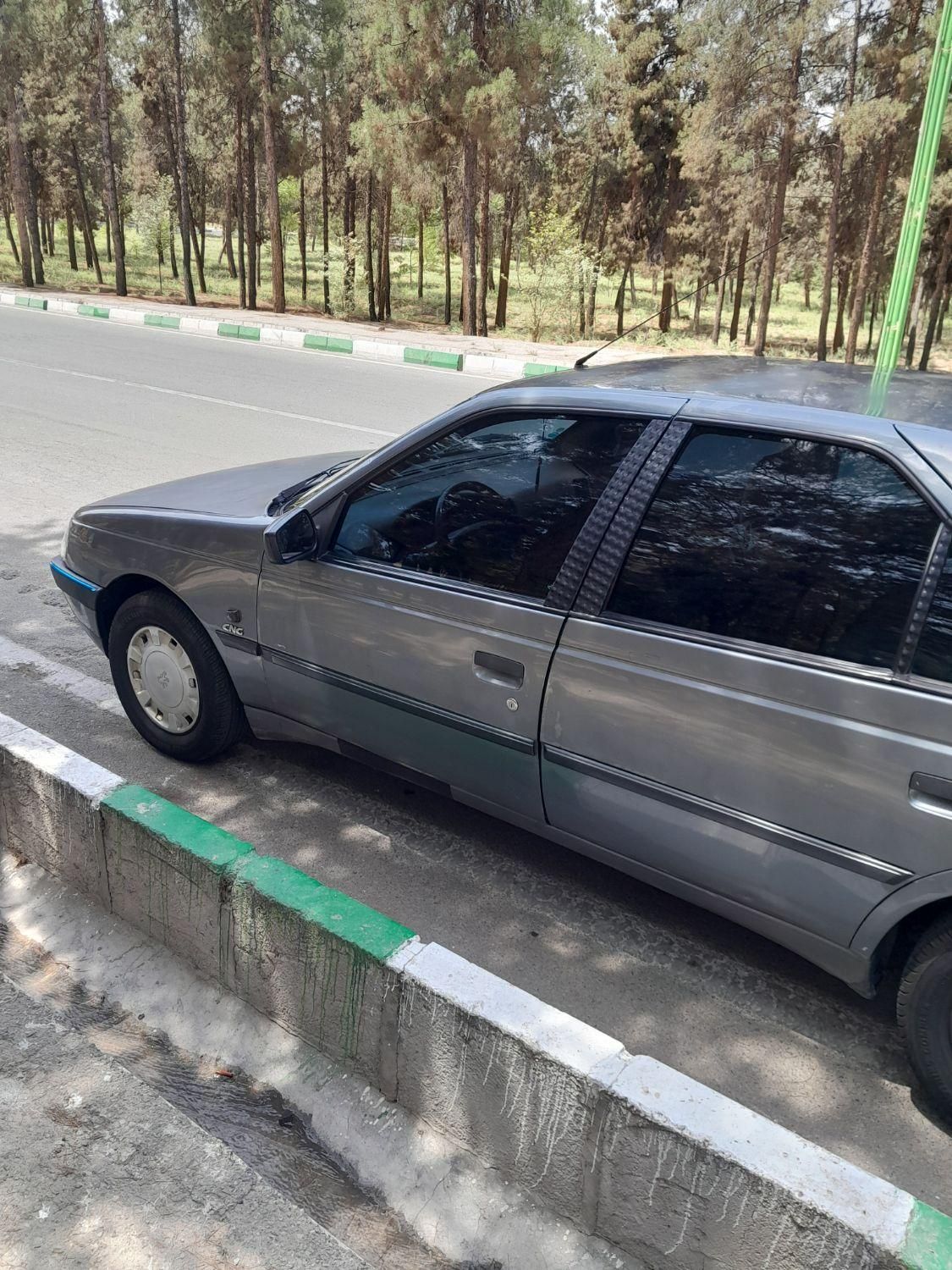 پژو 405 GLX - دوگانه سوز - 1390