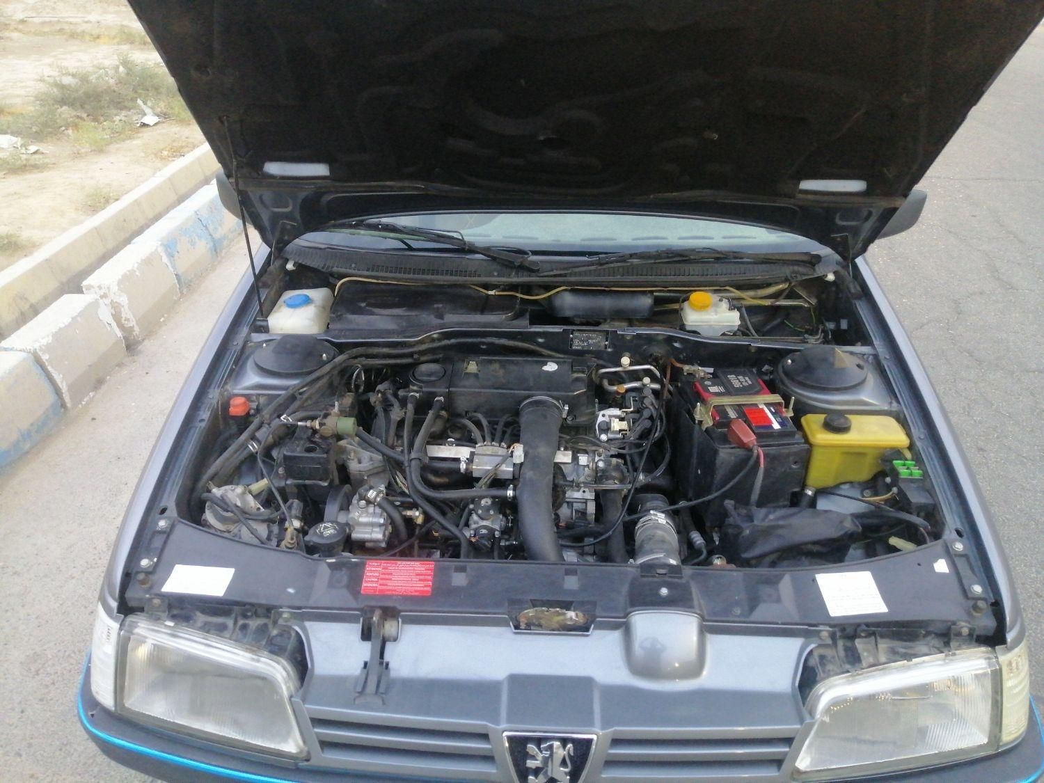 پژو 405 GLX - دوگانه سوز - 1390
