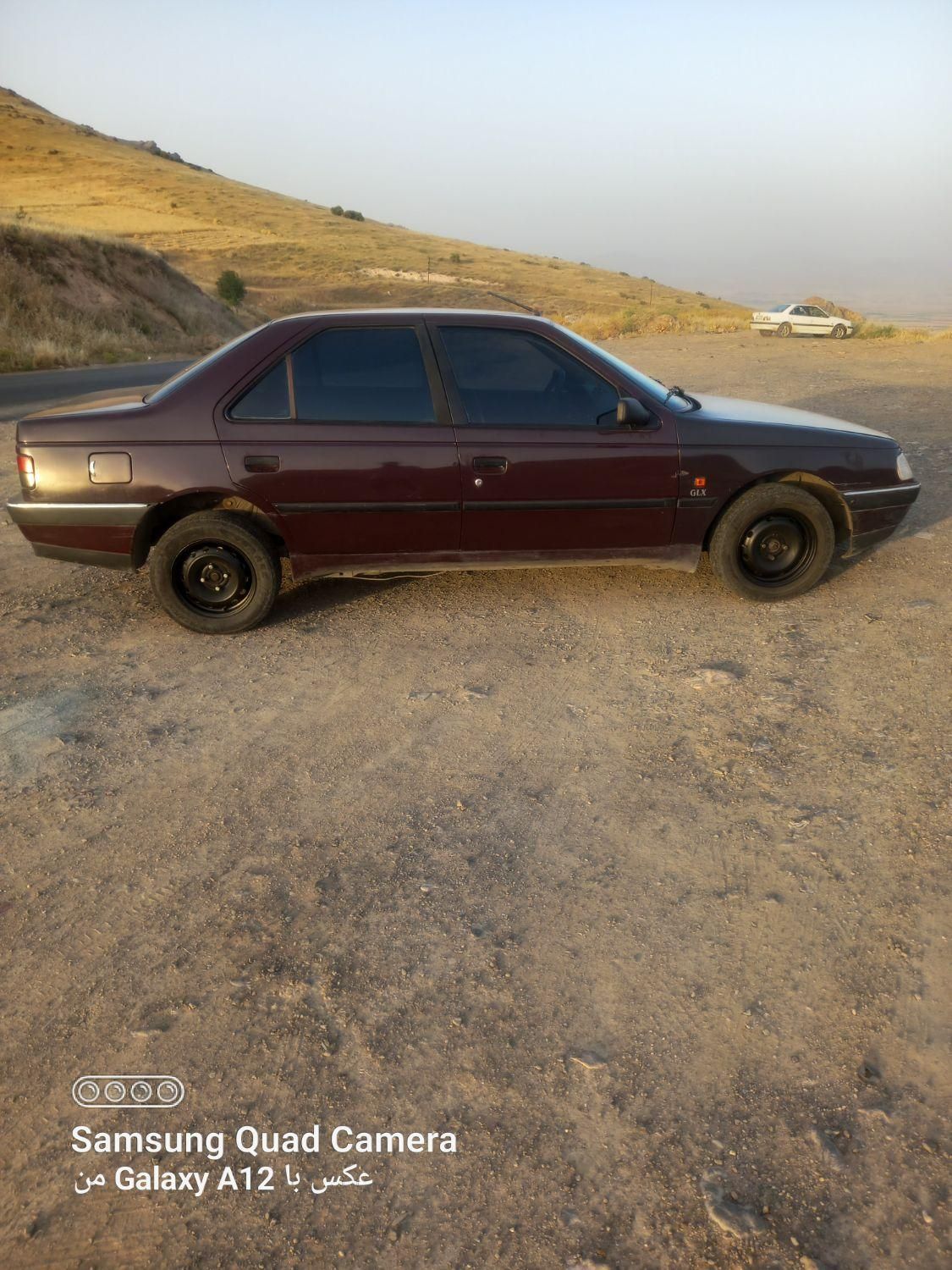 پژو 405 GLX - دوگانه سوز - 1383