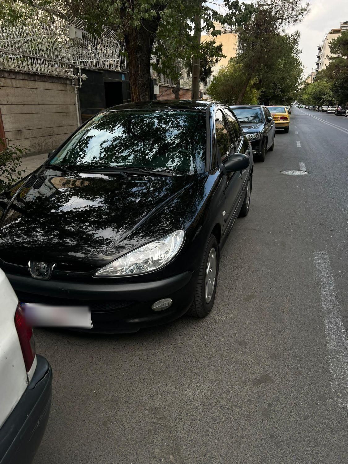 پژو 206 تیپ 5 - 1389
