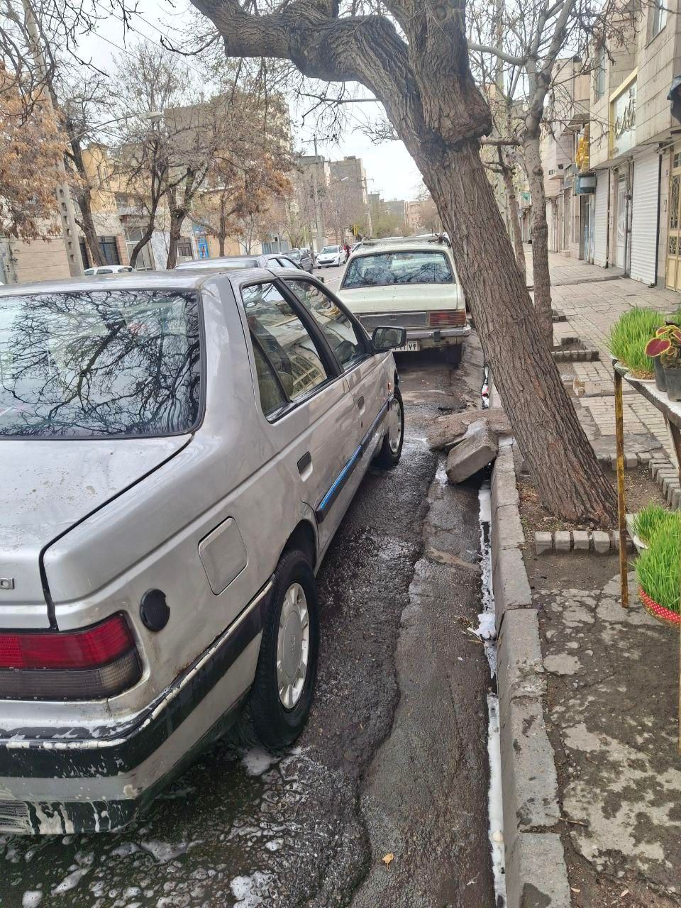 پژو روآ دوگانه سوز - 1387