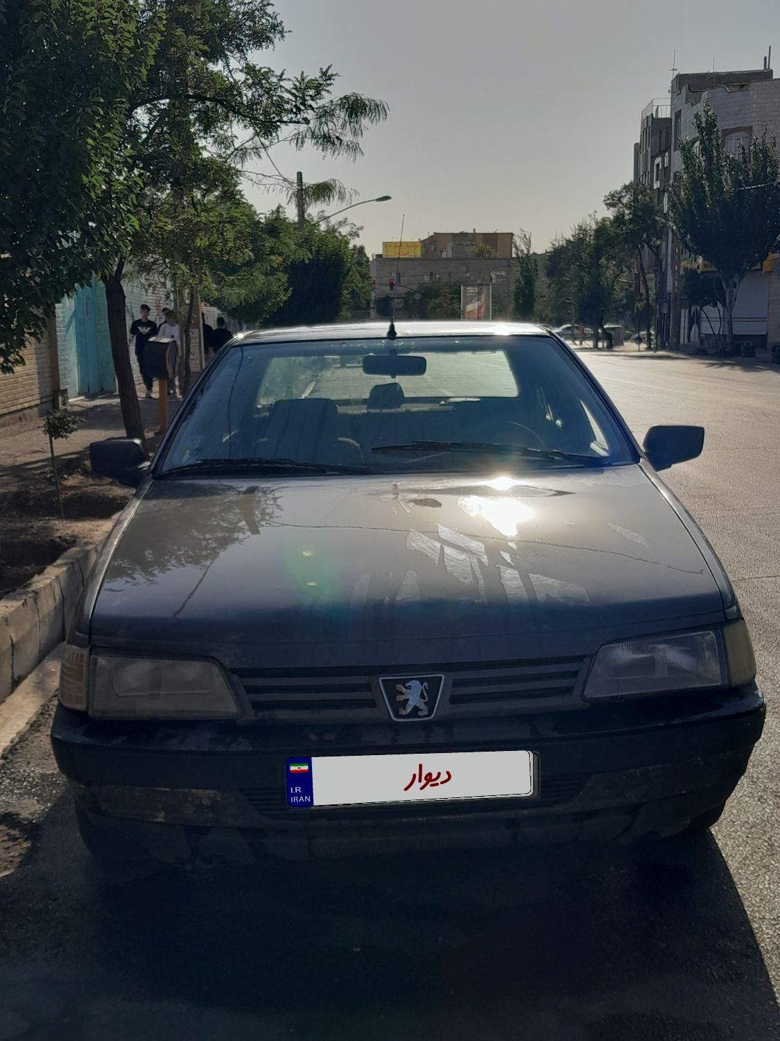 پژو روآ دوگانه سوز - 1385