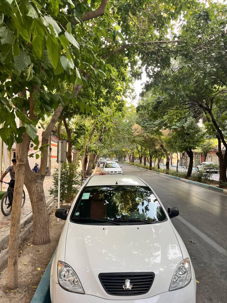 خودرو تیبا، 2 آگهی ann_19562207