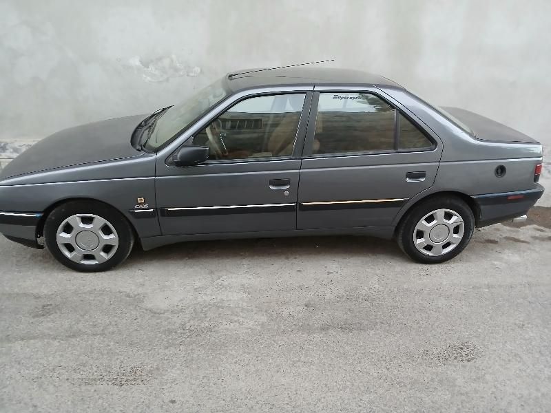 پژو 405 GL - دوگانه سوز CNG - 1369