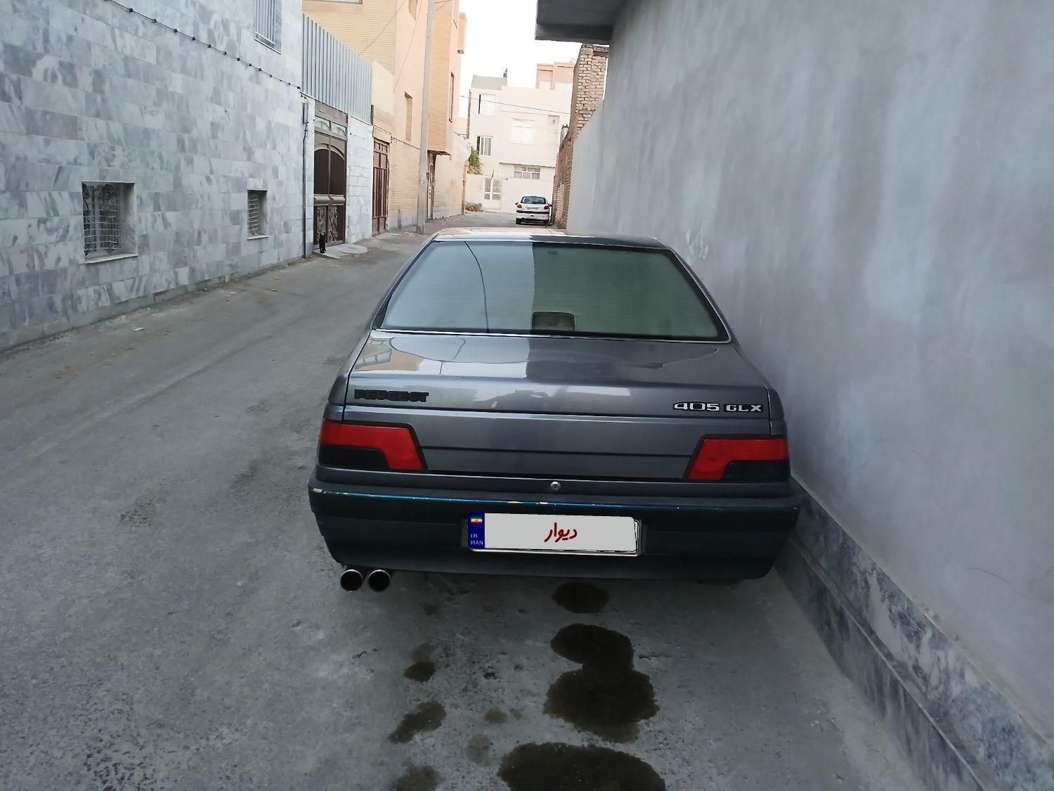پژو 405 GL - دوگانه سوز CNG - 1369