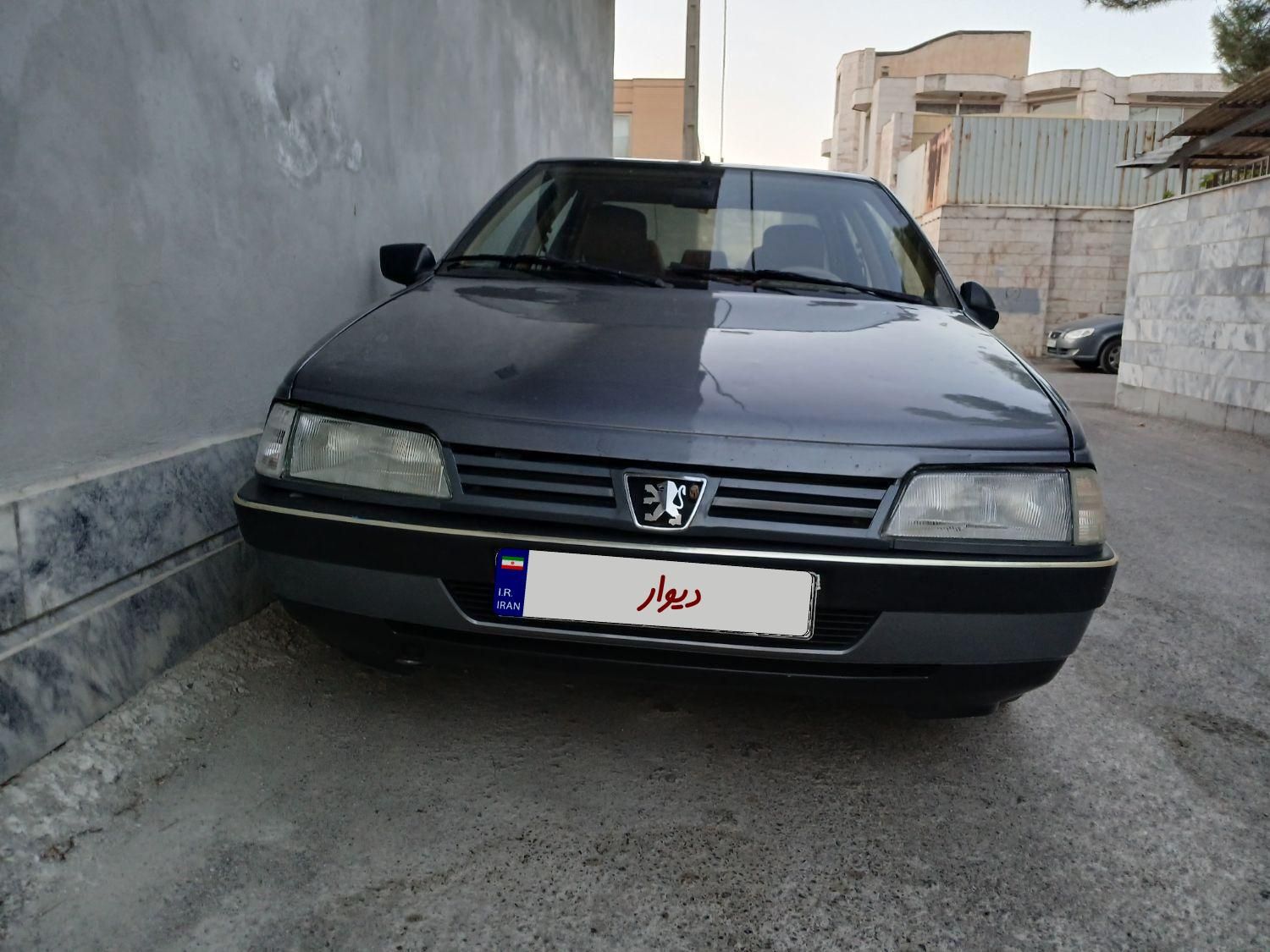 پژو 405 GL - دوگانه سوز CNG - 1369