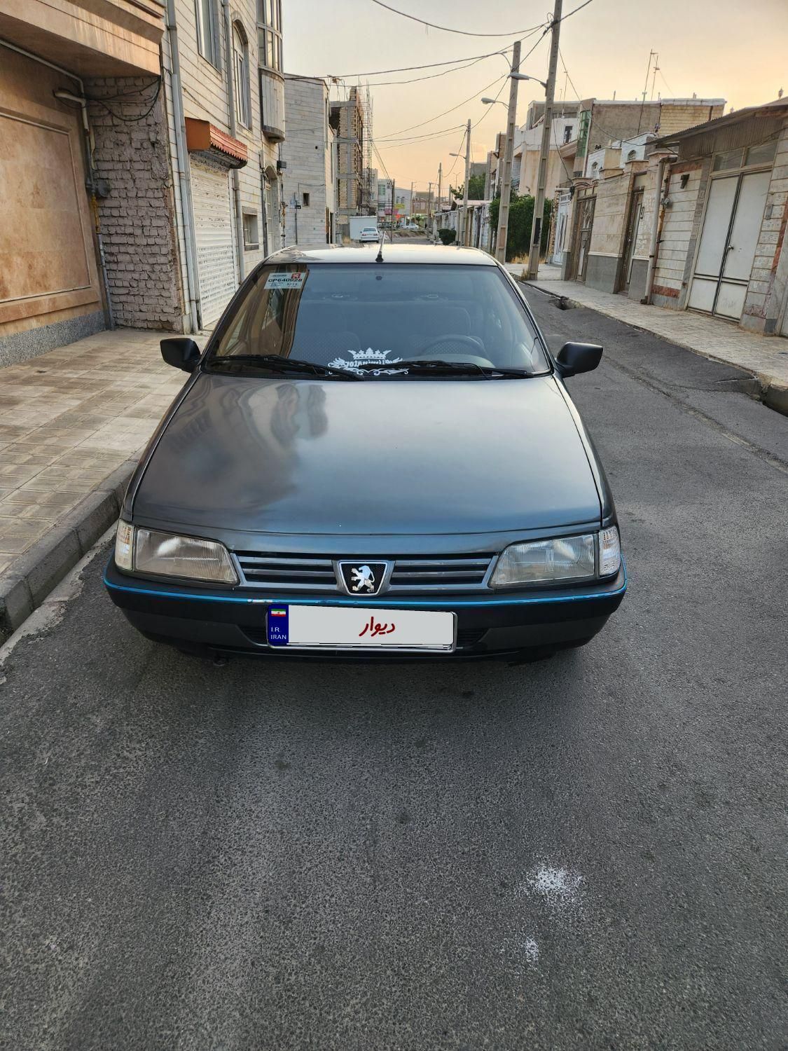 پژو 405 GLX - دوگانه سوز - 1391