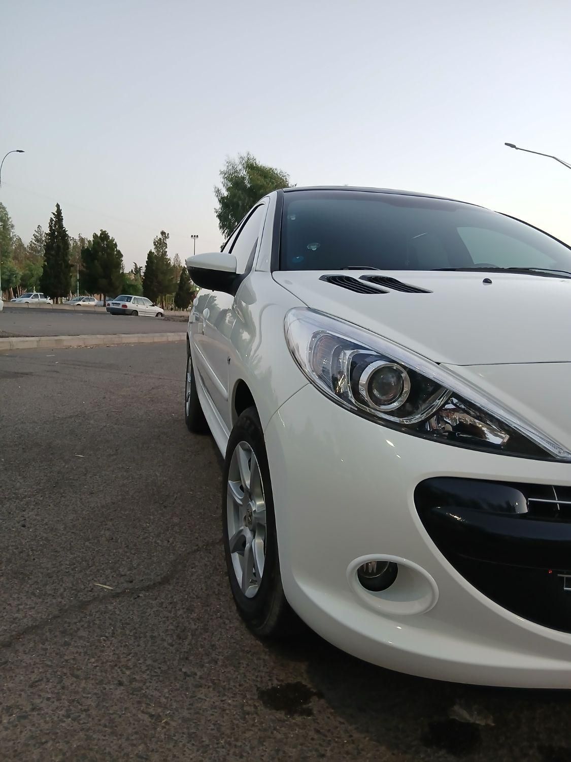 خودرو پژو، 207 آگهی ann_19563564