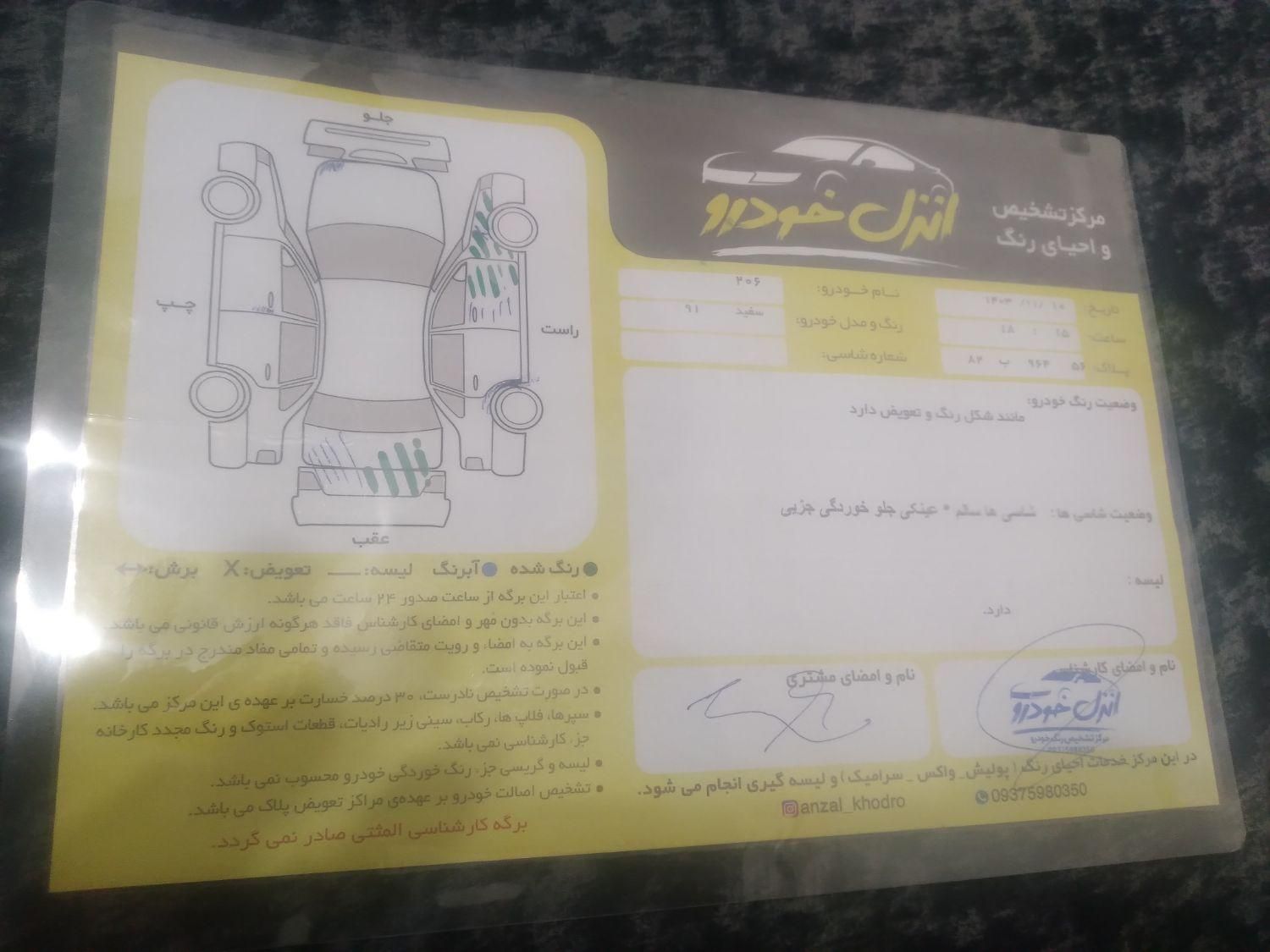 پژو 206 تیپ 2 - 1391