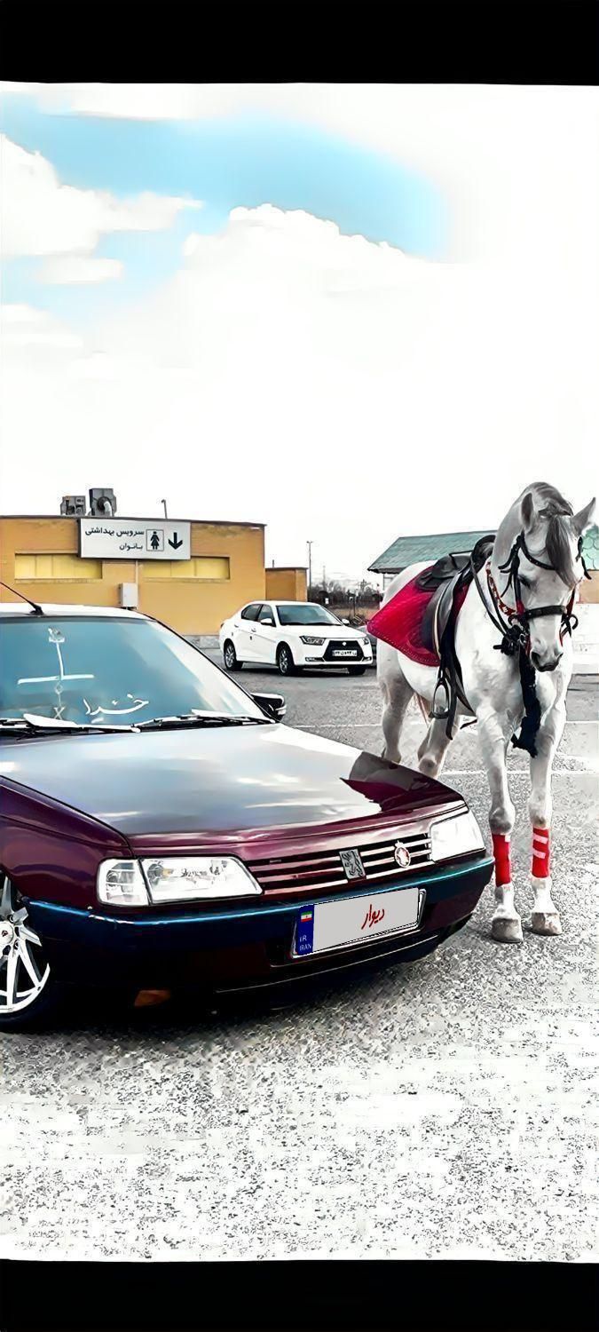پژو 405 GLI - دوگانه سوز CNG - 1383