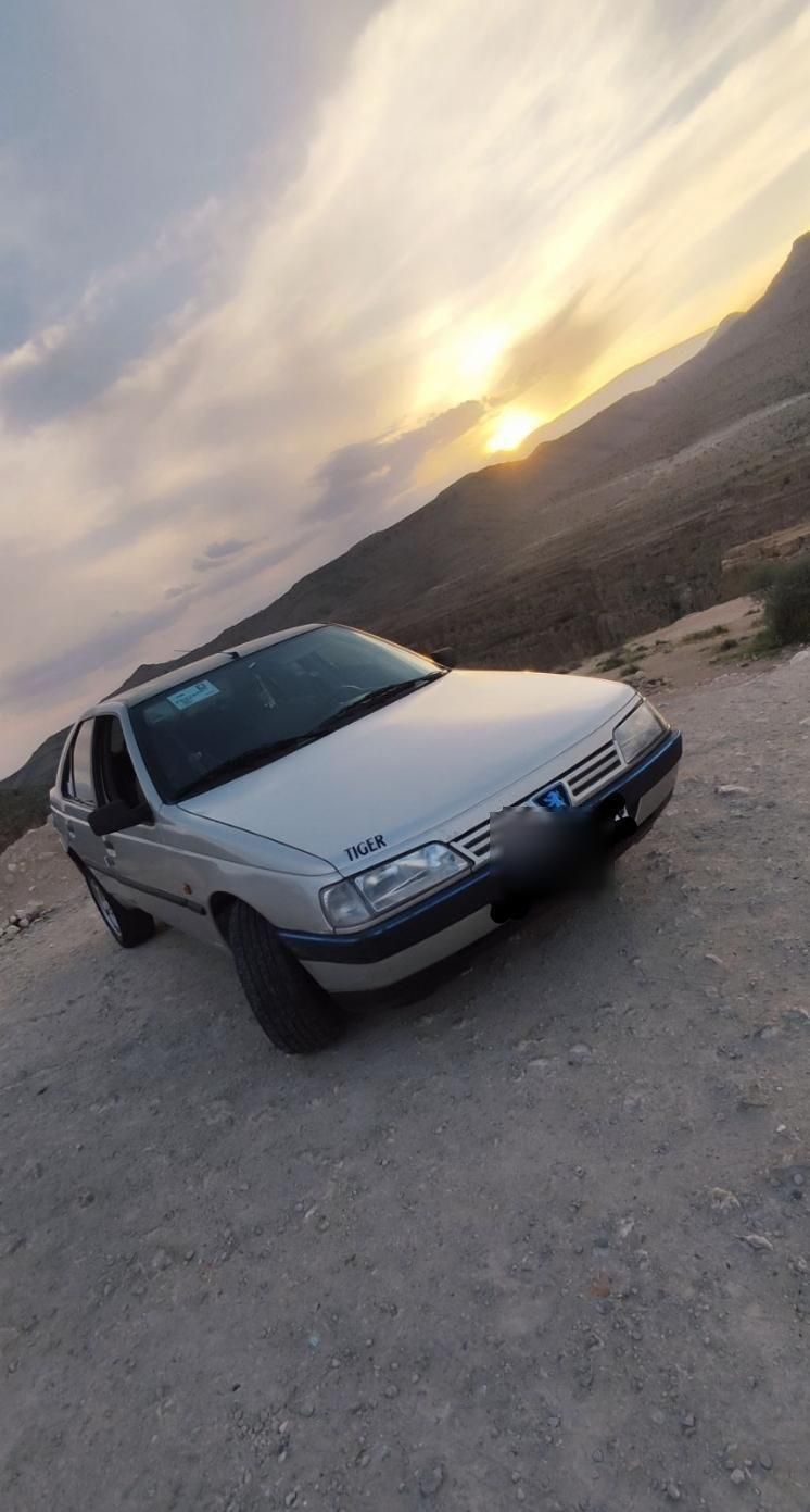 پژو 405 GLX - 1384