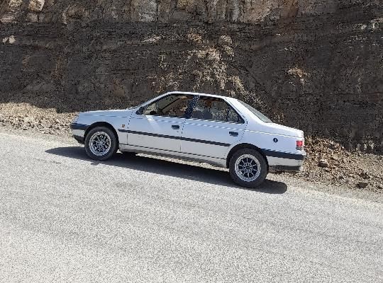 پژو 405 GLX - دوگانه سوز - 1389