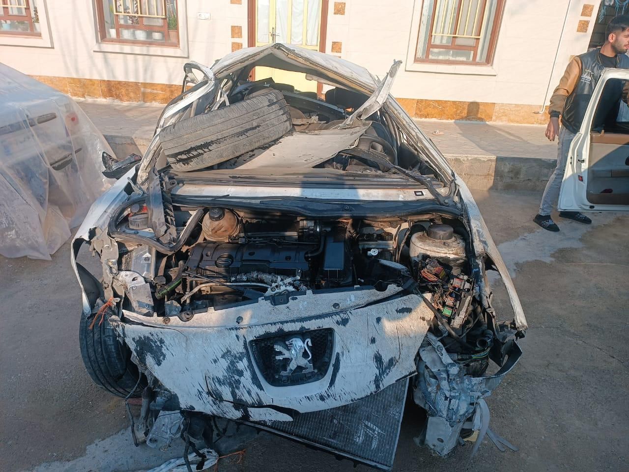 پژو 206 تیپ 5 - 1395