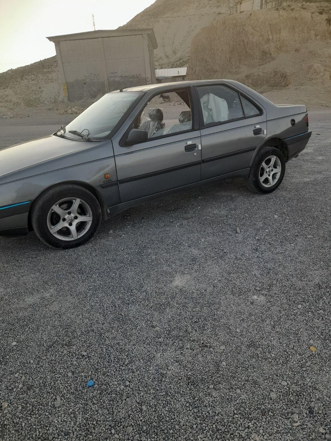 پژو 405 GLX - دوگانه سوز - 1390