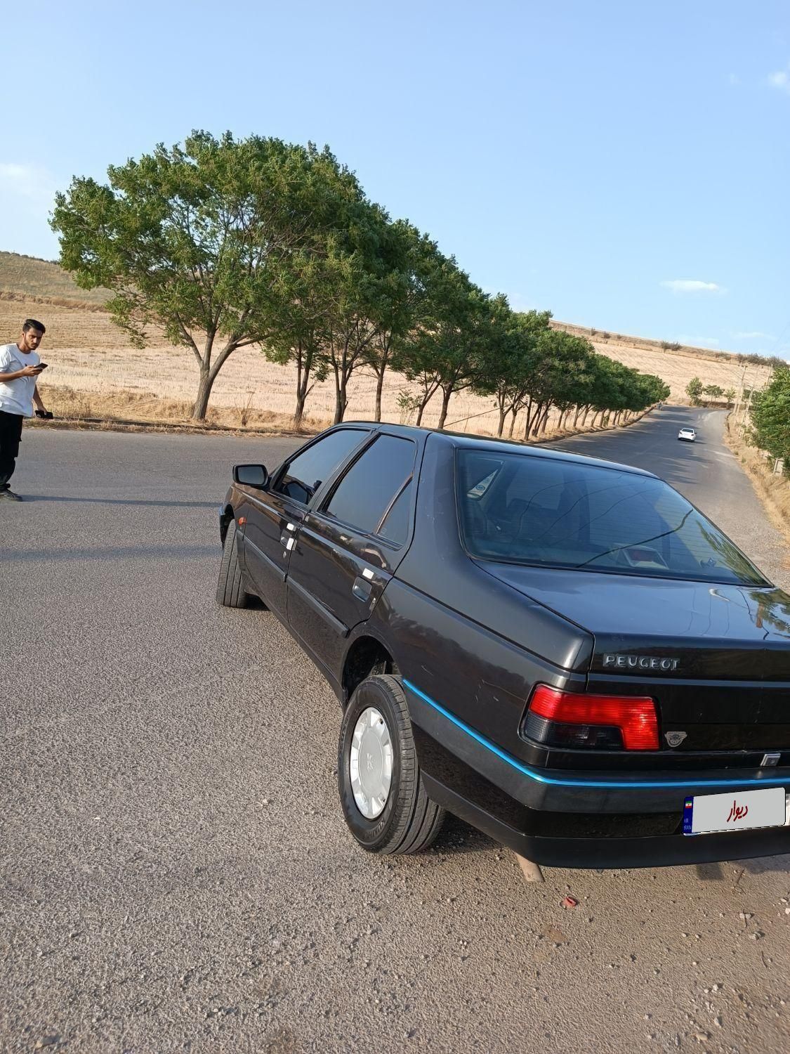پژو 405 GLX - 1388