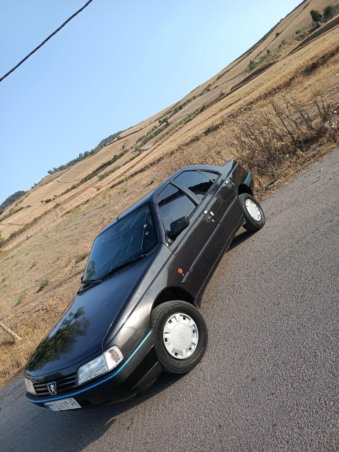 پژو 405 GLX - 1388