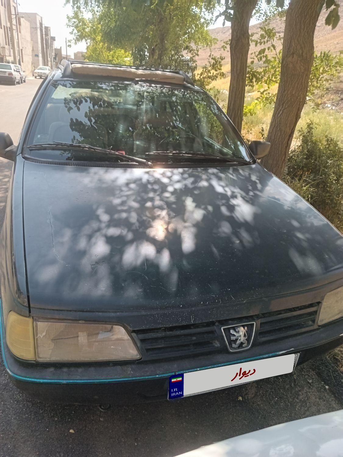 پژو آردی دوگانه سوز CNG - 1382